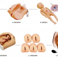 高級腹部觸診、分娩機(jī)轉(zhuǎn)綜合模型